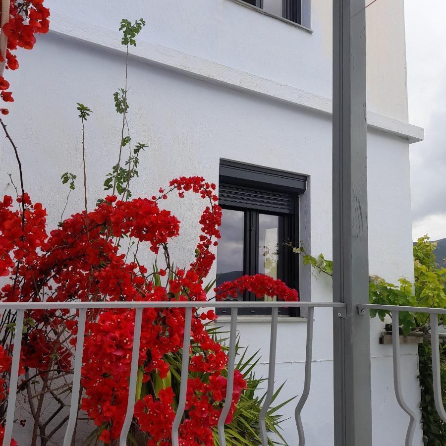 Kastro Studios Σκόπελος Εξωτερικό φωτογραφία